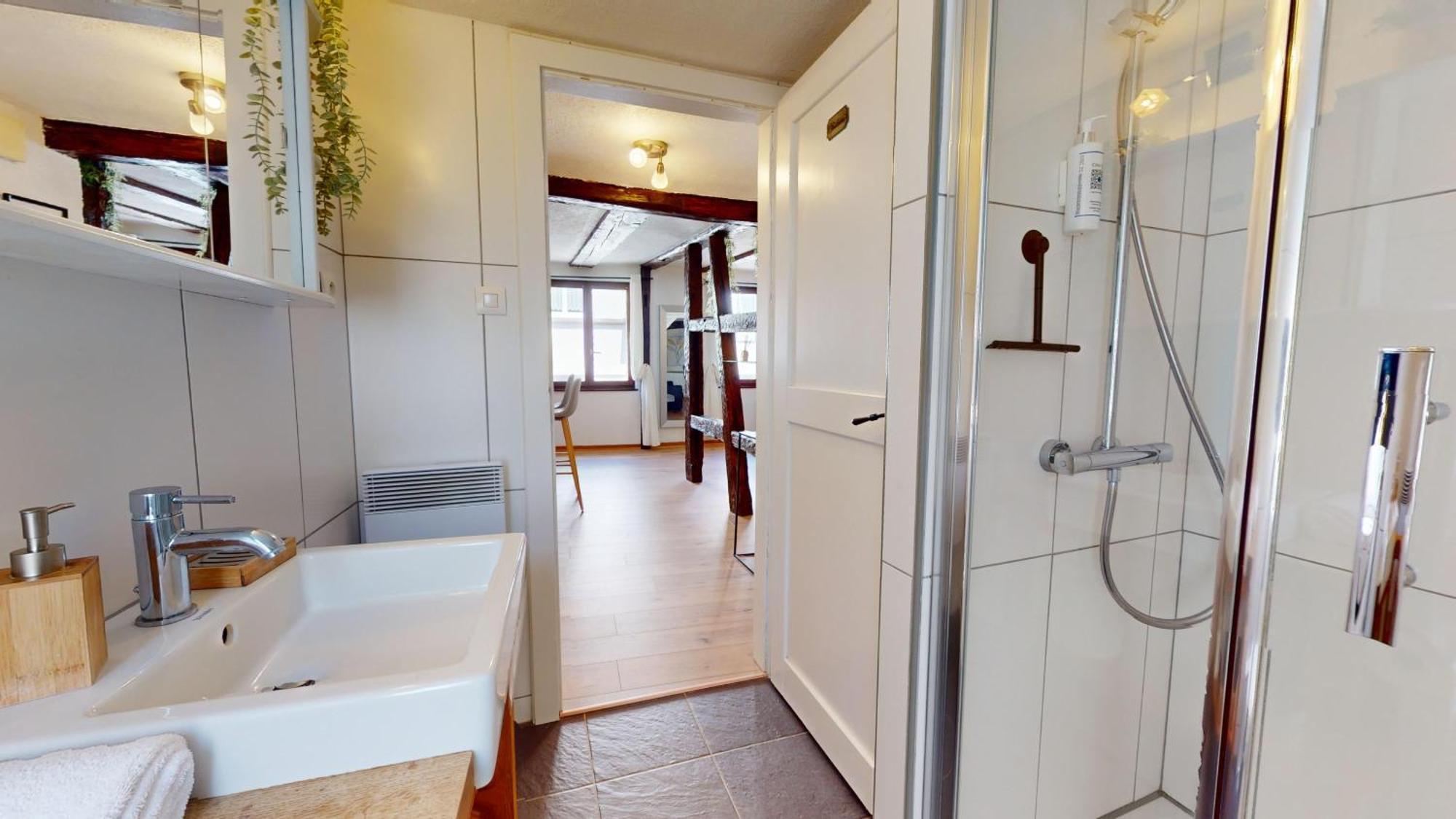 Au Petit Vauban 2 Chambres & Parking Colmar Extérieur photo