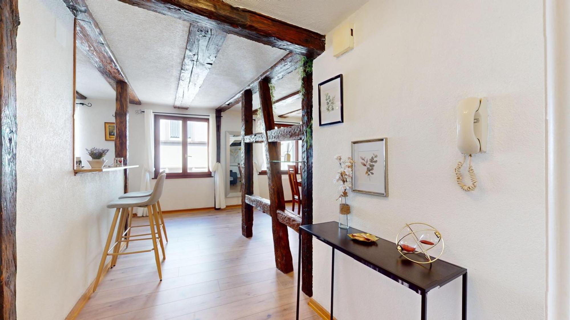 Au Petit Vauban 2 Chambres & Parking Colmar Extérieur photo